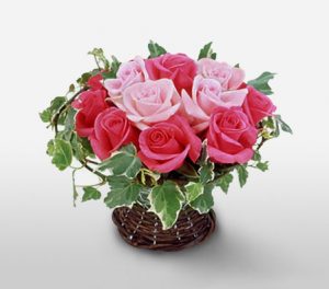 Momoiro Love Dozen Pink Roses in Basket