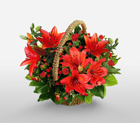 Premium Flowers and Gifts Delivery Mauritius - Floral.mu