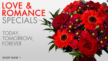 Send Flowers USA Same Day - US International Flower and Gift Delivery